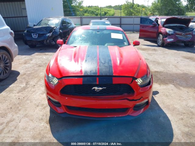 1FA6P8AM5G5256188 Ford Mustang V6