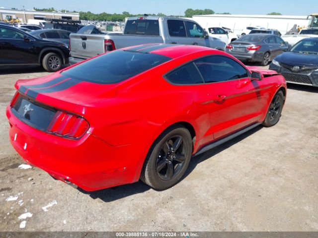 1FA6P8AM5G5256188 Ford Mustang V6