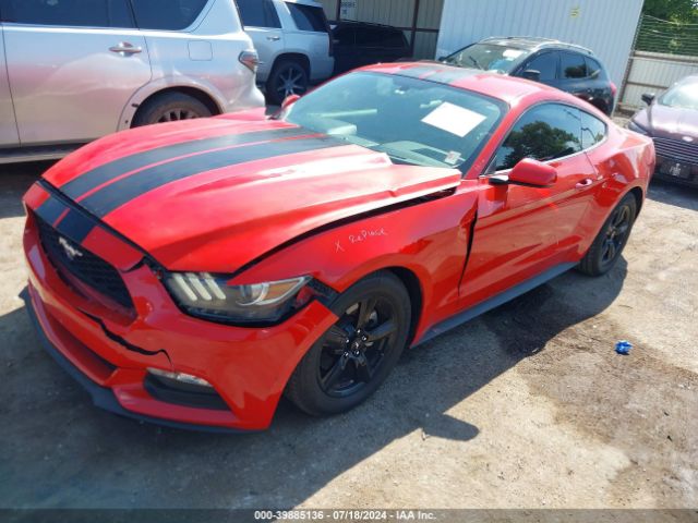 1FA6P8AM5G5256188 Ford Mustang V6