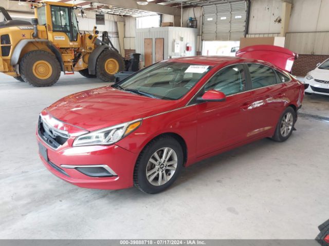 5NPE24AF3HH517236 Hyundai Sonata