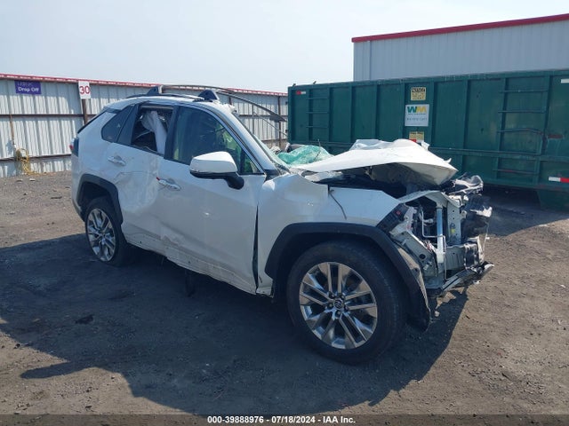 Toyota Rav4 Limited 2019 JTMN1RFV9KD017398 main image