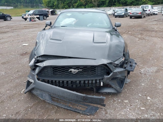Ford Mustang Ecoboost 2019 1FA6P8TH4K5103567 Image 11