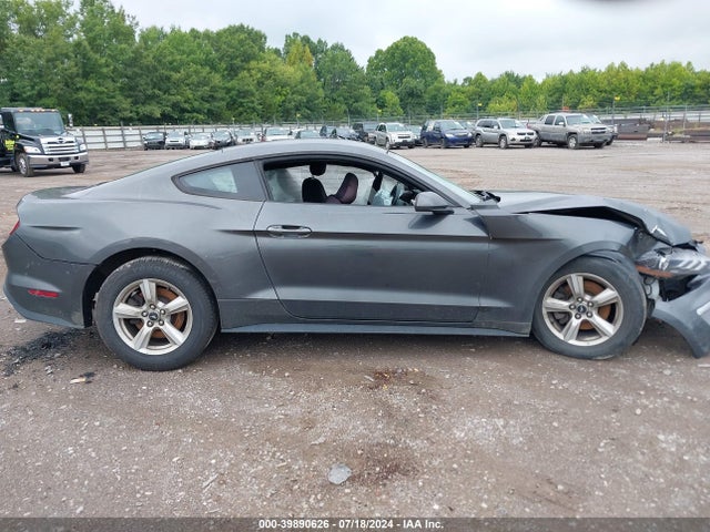Ford Mustang Ecoboost 2019 1FA6P8TH4K5103567 Image 12