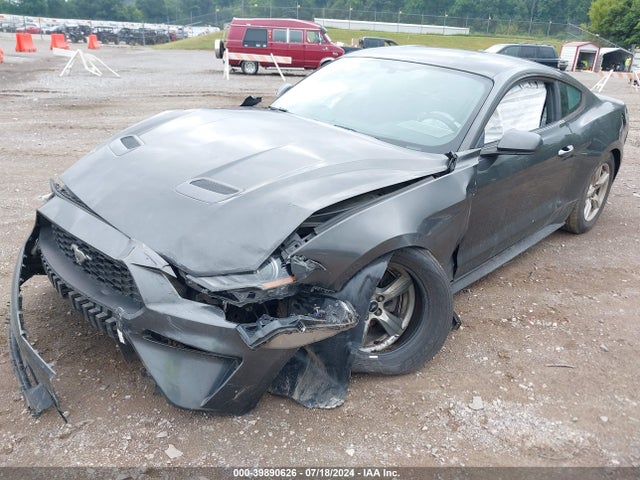 Ford Mustang Ecoboost 2019 1FA6P8TH4K5103567 Image 2