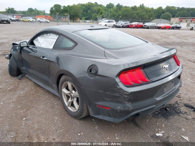 Ford Mustang Ecoboost 2019 1FA6P8TH4K5103567 Image 3