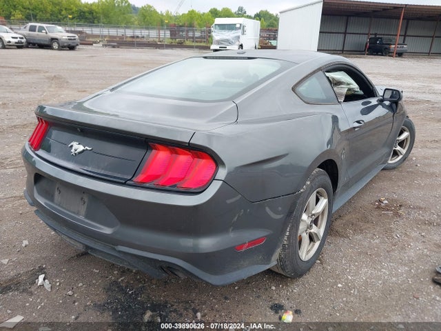 Ford Mustang Ecoboost 2019 1FA6P8TH4K5103567 Image 4