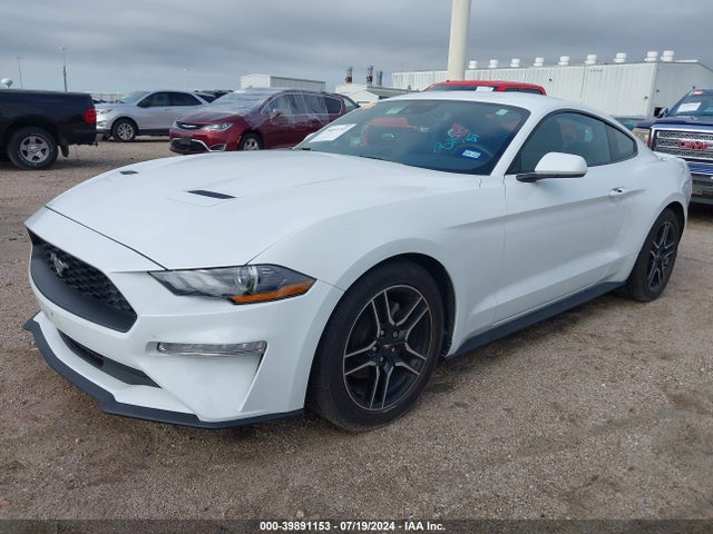 Ford Mustang Ecoboost Premium Fastback 2023 1FA6P8TH1P5113500 Image 2
