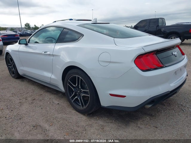 Ford Mustang Ecoboost Premium Fastback 2023 1FA6P8TH1P5113500 Image 3