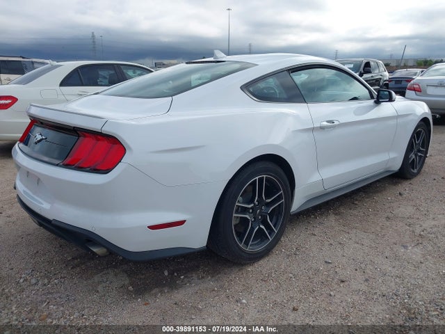 Ford Mustang Ecoboost Premium Fastback 2023 1FA6P8TH1P5113500 Image 4