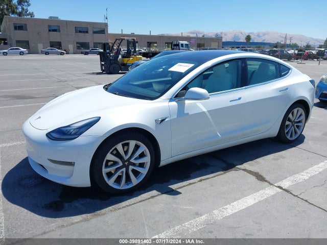 2019 Tesla Model 3 Long Range/mid Range/standard Range/standard Range Plus მანქანა იყიდება აუქციონზე, vin: 5YJ3E1EAXKF302650, აუქციონის ნომერი: 39891403