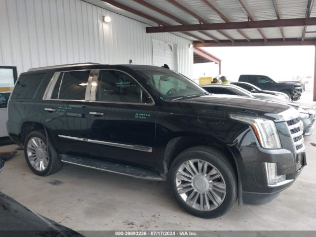 1GYS3BKJ7GR439259 Cadillac Escalade Luxury Collection
