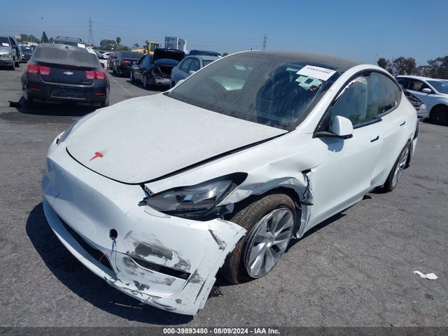 2023 TESLA MODEL Y 7SAYGDEE9PF807559 Photo 1