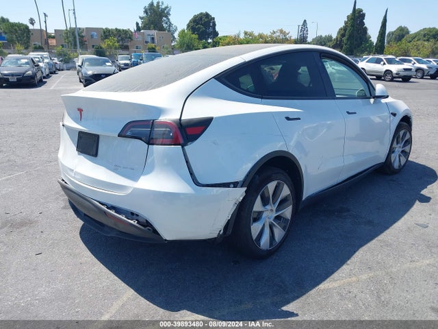 2023 TESLA MODEL Y 7SAYGDEE9PF807559 Photo 3