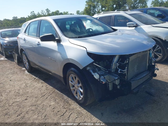 Chevrolet EQUINOX LS 2019 3GNAXHEV1KS655483 Image 1