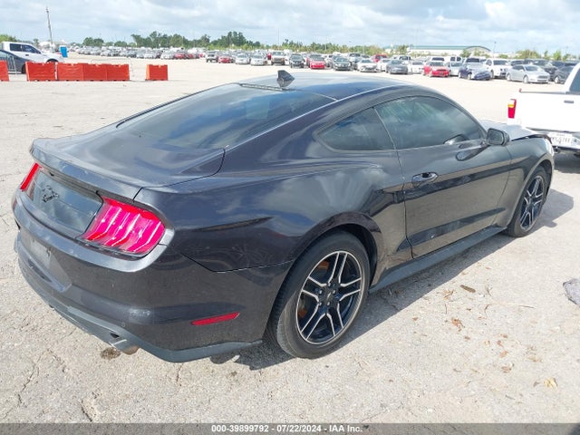 Ford Mustang Ecoboost Fastback 2022 1FA6P8TH7N5145168 Image 4
