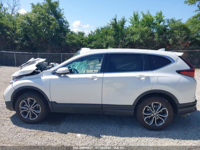 5J6RW2H81LL022257 Honda Cr-v Awd Ex-l