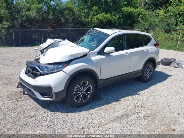 5J6RW2H81LL022257 Honda Cr-v Awd Ex-l