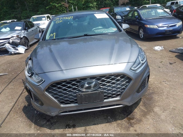 Hyundai SONATA SEL 2019 5NPE34AF1KH781060 Image 12