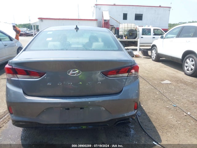 Hyundai SONATA SEL 2019 5NPE34AF1KH781060 Image 16