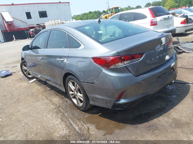 Hyundai SONATA SEL 2019 5NPE34AF1KH781060 Image 3
