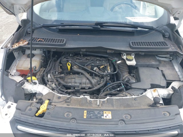 Ford ESCAPE SE 2014 1FMCU0GXXEUA98194 Image 10