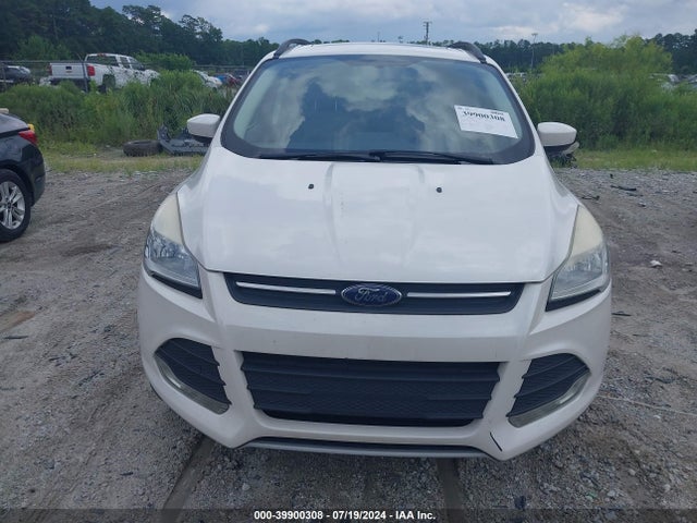 Ford ESCAPE SE 2014 1FMCU0GXXEUA98194 Image 6