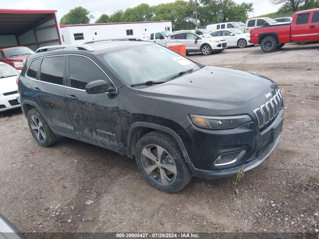 Jeep Cherokee Limited 4x4 2019 1C4PJMDX7KD155473 Image 1