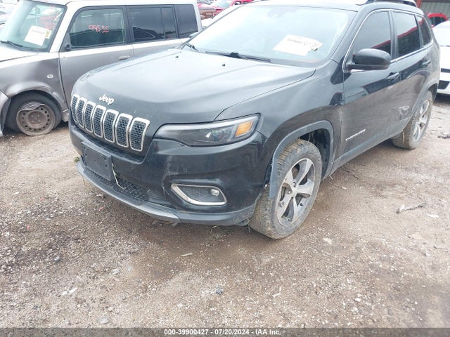 Jeep Cherokee Limited 4x4 2019 1C4PJMDX7KD155473 Image 6