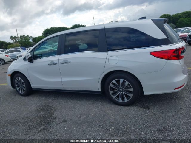 5FNRL6H66PB056028 Honda Odyssey Ex-l