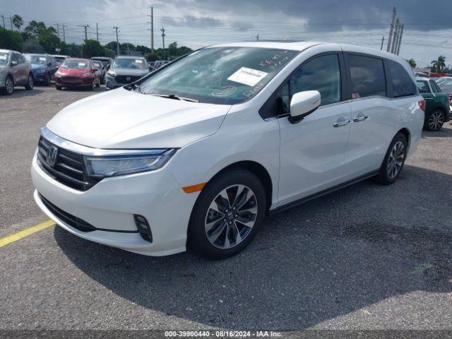 5FNRL6H66PB056028 Honda Odyssey Ex-l