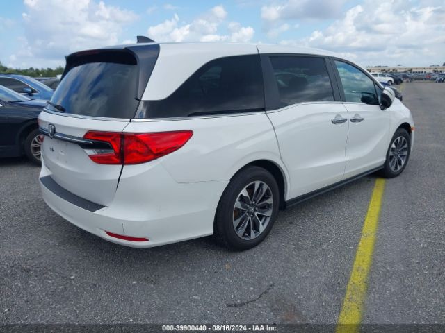 5FNRL6H66PB056028 Honda Odyssey Ex-l