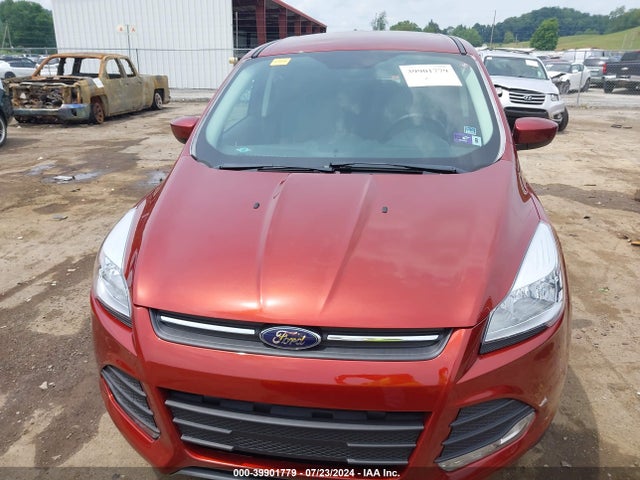 Ford ESCAPE SE 2016 1FMCU9GX1GUC52377 Image 12