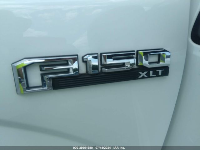 1FTEW1CF7GFA55420 Ford F-150 Xlt
