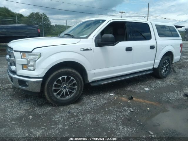 1FTEW1CF7GFA55420 Ford F-150 Xlt
