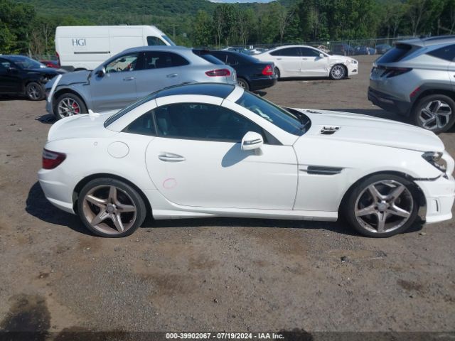 WDDPK4HA4EF087859 Mercedes-Benz SLK 250