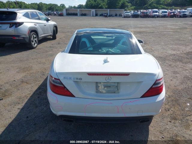 WDDPK4HA4EF087859 Mercedes-Benz SLK 250
