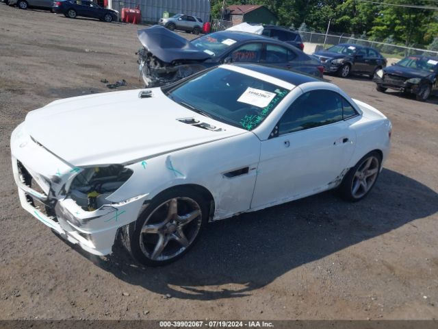 WDDPK4HA4EF087859 Mercedes-Benz SLK 250