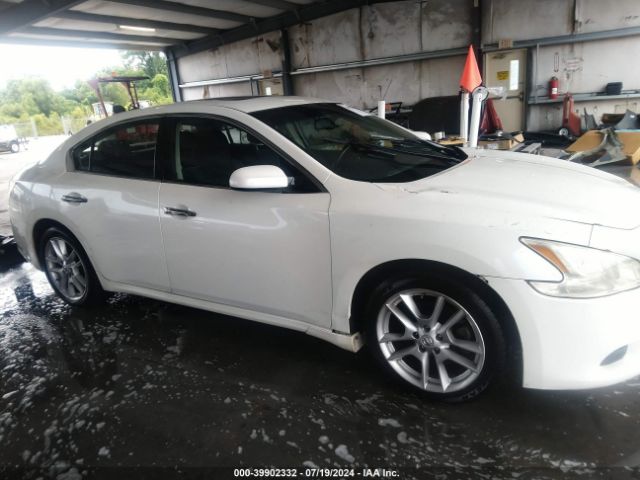 1N4AA5AP2EC465501 Nissan Maxima 3.5 S/3.5 Sv