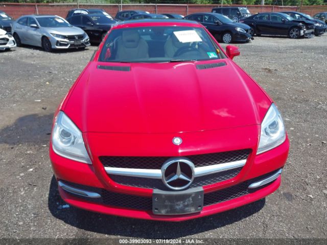 WDDPK4HA4EF091278 Mercedes-Benz SLK 250
