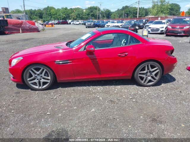 WDDPK4HA4EF091278 Mercedes-Benz SLK 250
