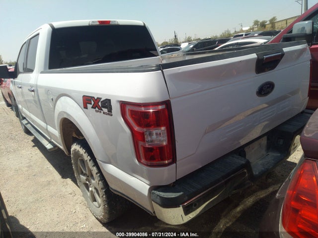 Ford F-150 Xlt 2019 1FTFW1E51KKD29719 Image 3