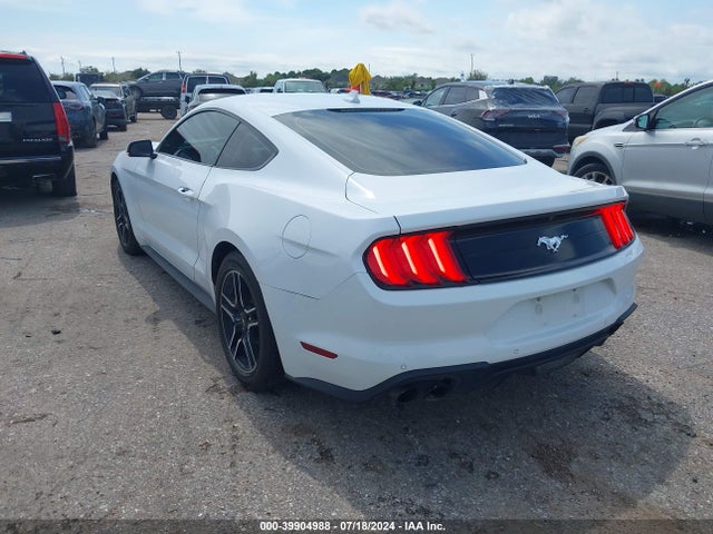 Ford Mustang Ecoboost Premium Fastback 2023 1FA6P8THXP5106769 Image 3