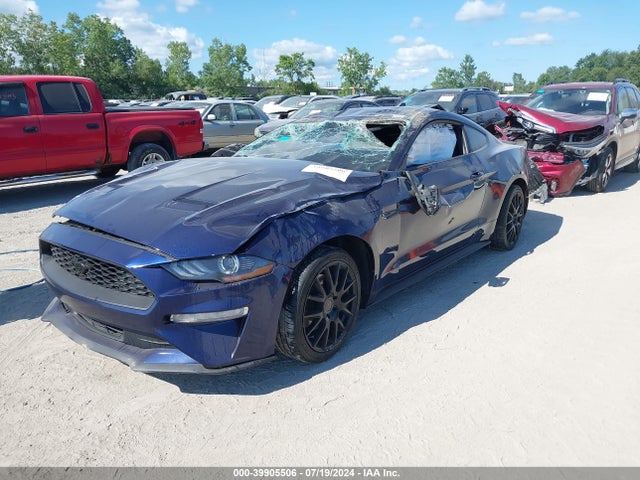 Ford Mustang Ecoboost Fastback 2020 1FA6P8TH5L5154335 Image 2