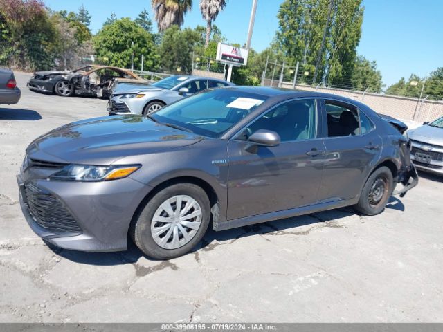4T1B31HK3JU002651 Toyota Camry Hybrid Le