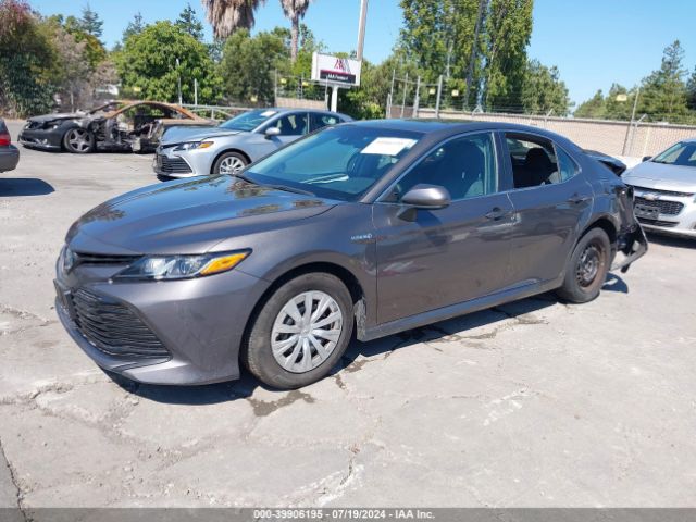 4T1B31HK3JU002651 Toyota Camry Hybrid Le