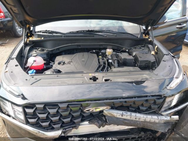 5NMS2DAJ6PH612294 Hyundai Santa Fe Sel