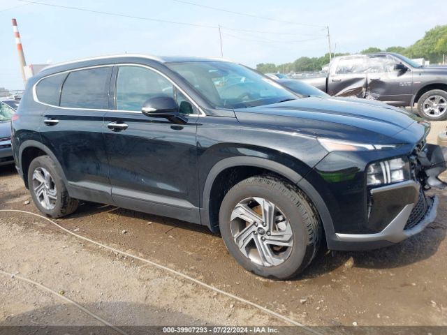5NMS2DAJ6PH612294 Hyundai Santa Fe Sel