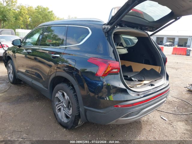 5NMS2DAJ6PH612294 Hyundai Santa Fe Sel
