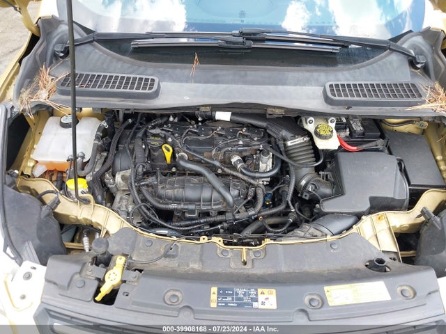 Ford ESCAPE SE 2014 1FMCU0GX4EUC34576 Image 10
