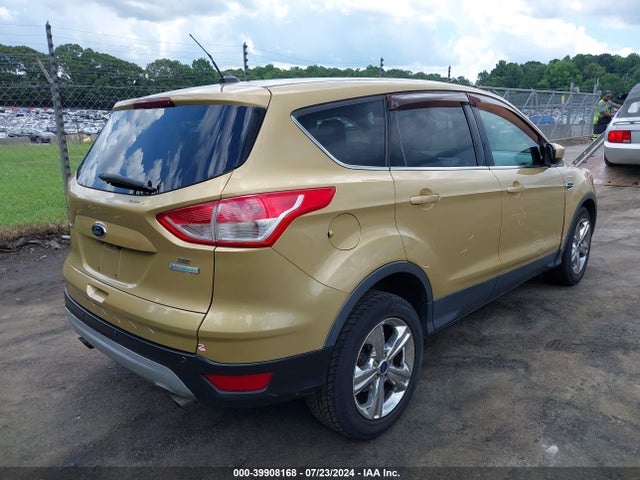 Ford ESCAPE SE 2014 1FMCU0GX4EUC34576 Image 4